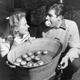Image for article titled Why do people bob for apples?